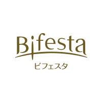 132627-bifesta-logo-small-chi.jpg