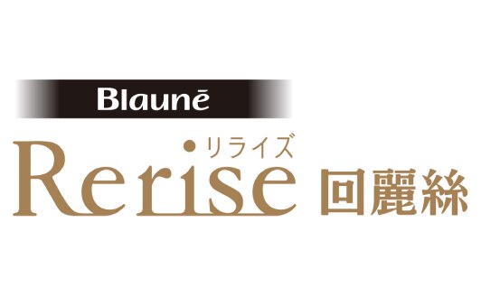 143213 Rerise logo eng s image